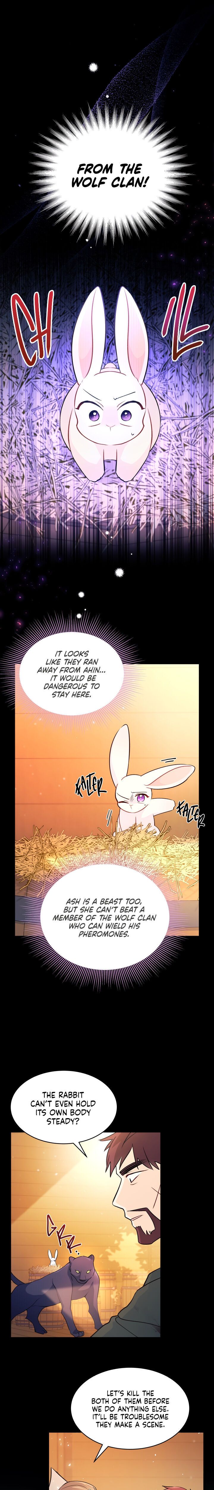 The Symbiotic Relationship Between the Rabbit and the Black Panther Chapter 28 - Page 10