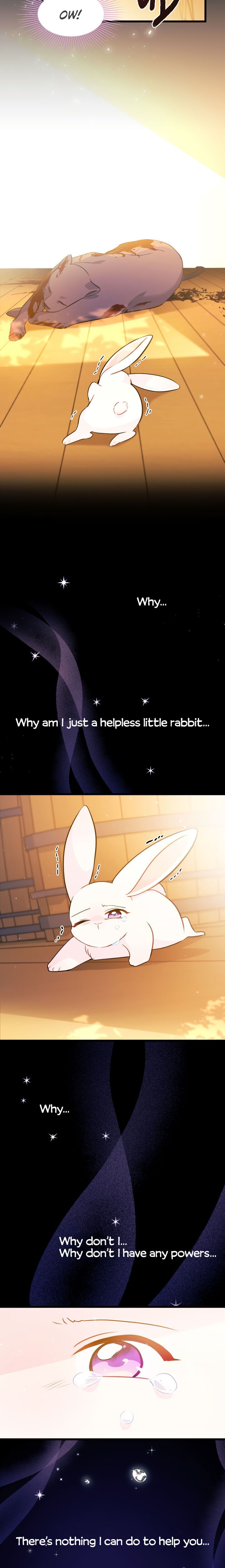 The Symbiotic Relationship Between the Rabbit and the Black Panther Chapter 28 - Page 25
