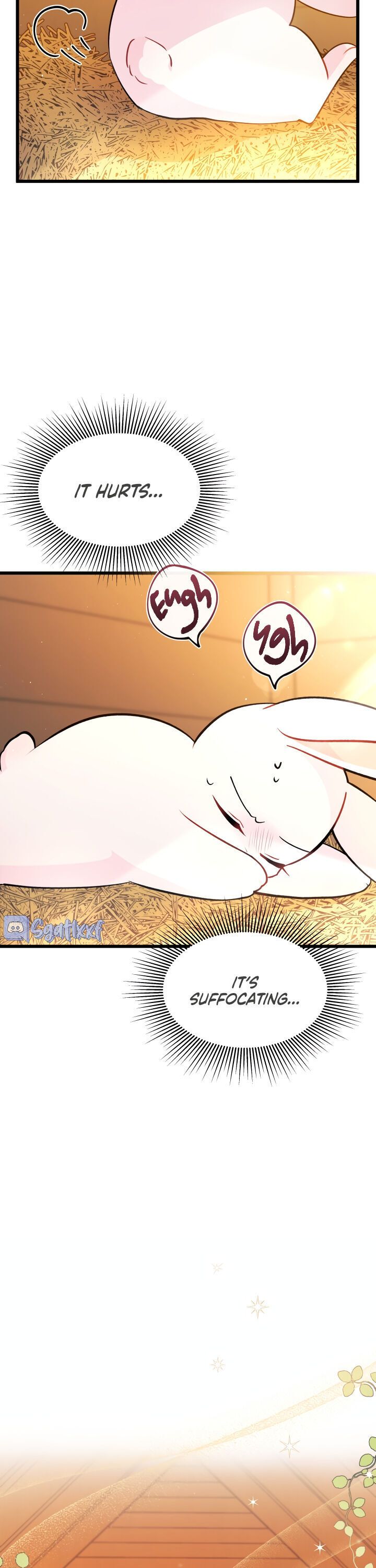 The Symbiotic Relationship Between the Rabbit and the Black Panther Chapter 28 - Page 5
