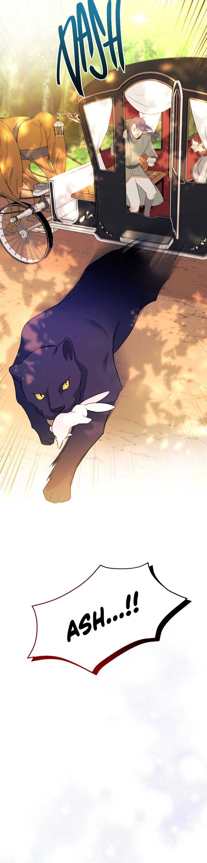 The Symbiotic Relationship Between the Rabbit and the Black Panther Chapter 29 - Page 20