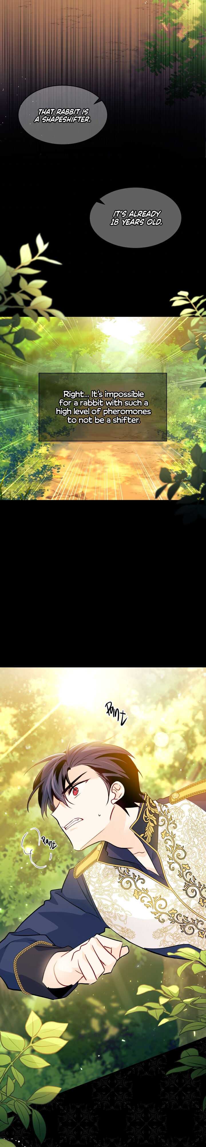 The Symbiotic Relationship Between the Rabbit and the Black Panther Chapter 29 - Page 27