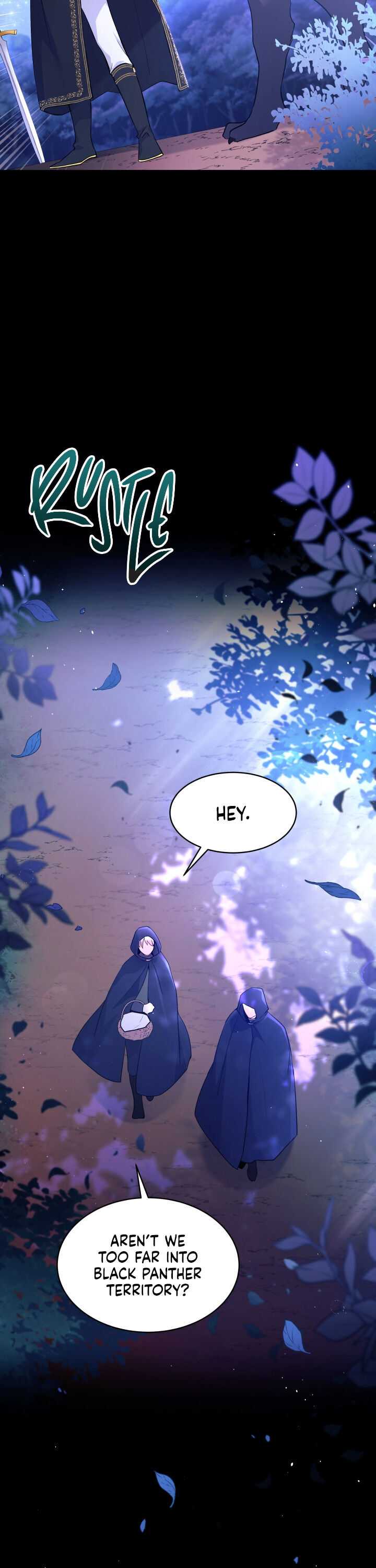 The Symbiotic Relationship Between the Rabbit and the Black Panther Chapter 29 - Page 9