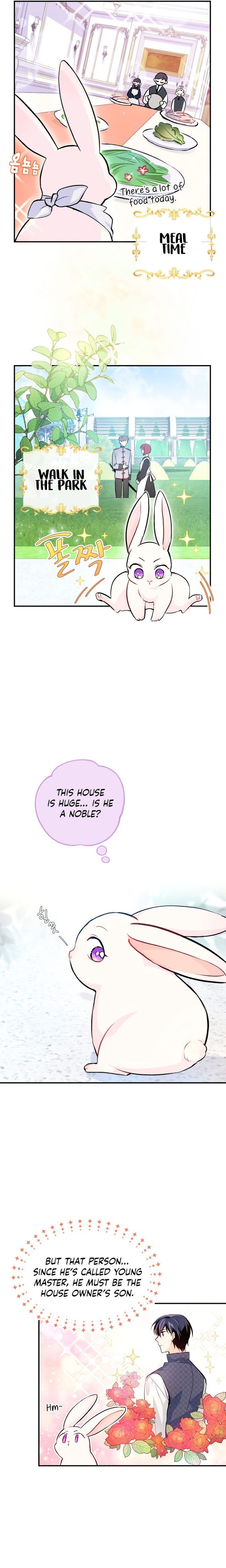 The Symbiotic Relationship Between the Rabbit and the Black Panther Chapter 3 - Page 12