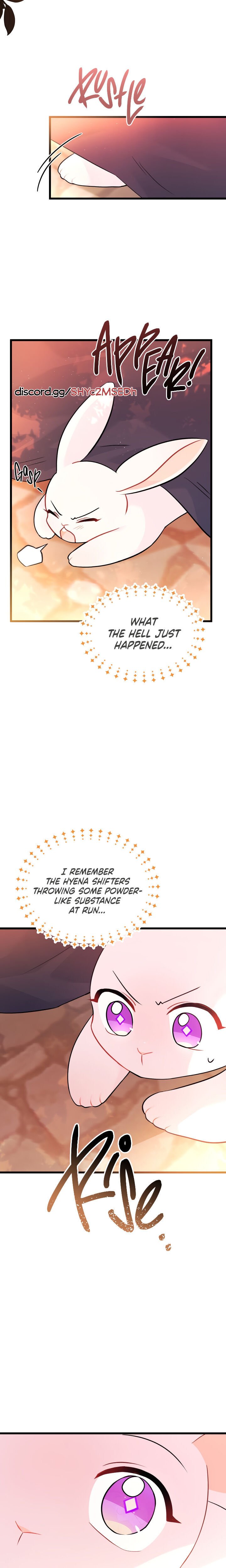 The Symbiotic Relationship Between the Rabbit and the Black Panther Chapter 33 - Page 17