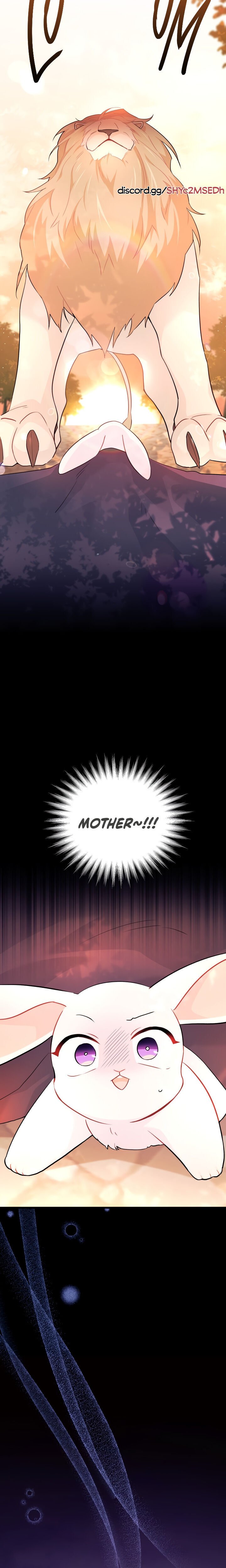 The Symbiotic Relationship Between the Rabbit and the Black Panther Chapter 33 - Page 19
