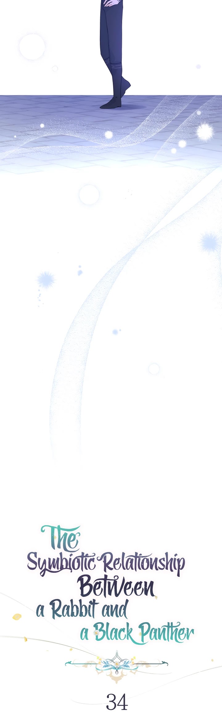The Symbiotic Relationship Between the Rabbit and the Black Panther Chapter 34 - Page 9
