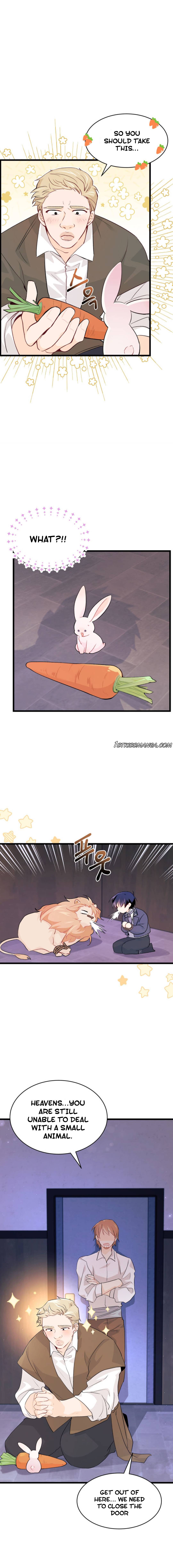 The Symbiotic Relationship Between the Rabbit and the Black Panther Chapter 35.1 - Page 2