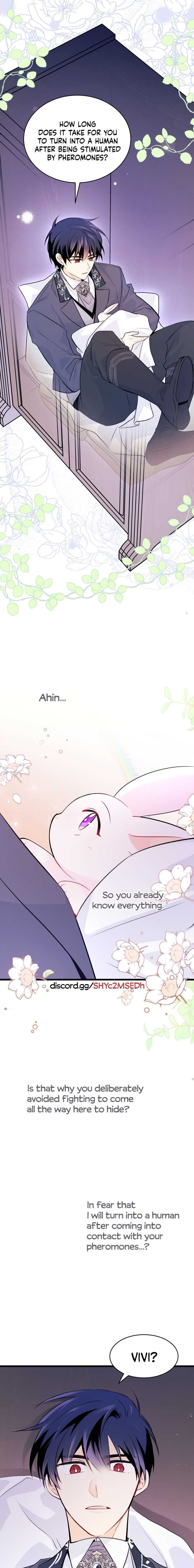 The Symbiotic Relationship Between the Rabbit and the Black Panther Chapter 36 - Page 17