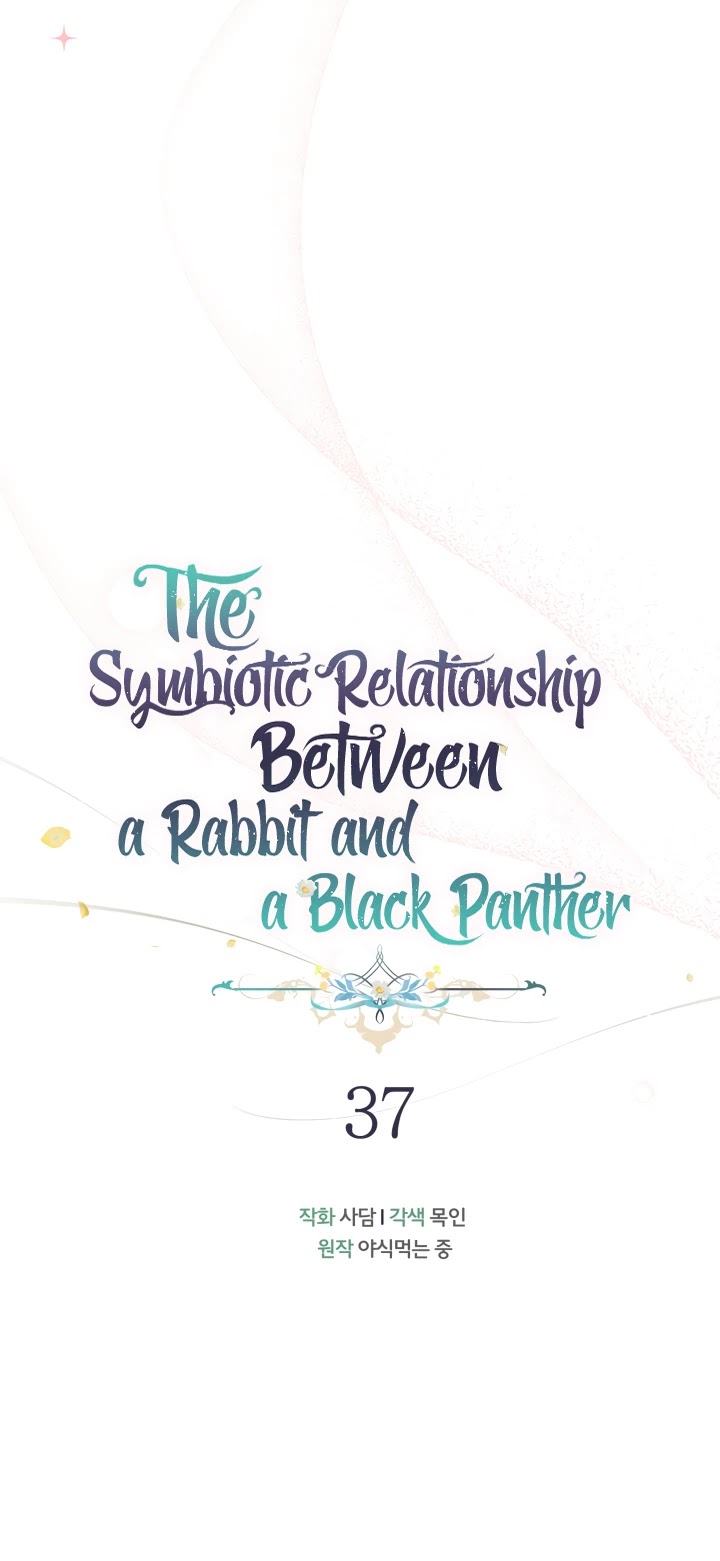 The Symbiotic Relationship Between the Rabbit and the Black Panther Chapter 37 - Page 5