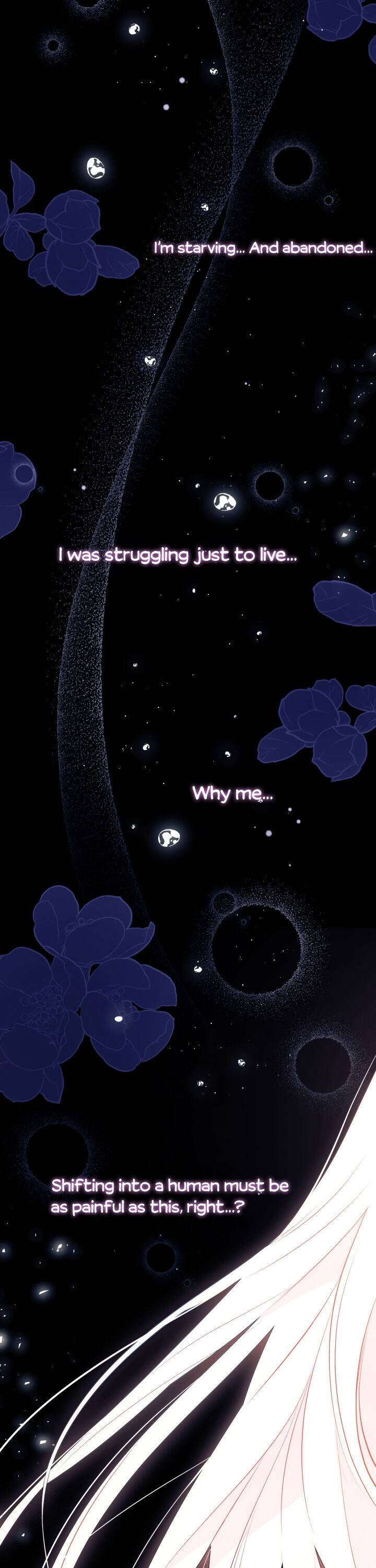 The Symbiotic Relationship Between the Rabbit and the Black Panther Chapter 39 - Page 9