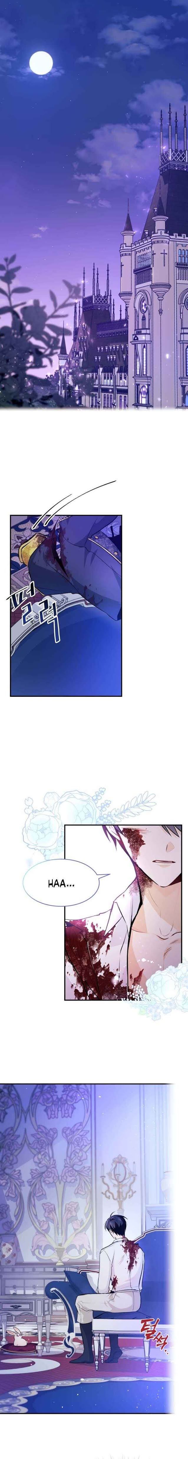 The Symbiotic Relationship Between the Rabbit and the Black Panther Chapter 4 - Page 1
