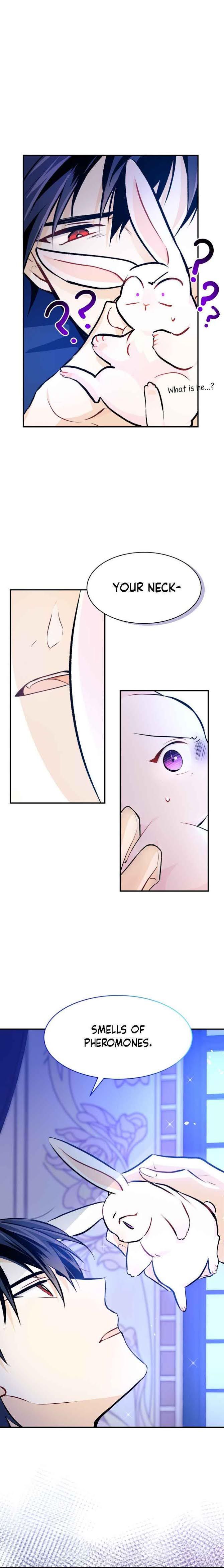 The Symbiotic Relationship Between the Rabbit and the Black Panther Chapter 4 - Page 16