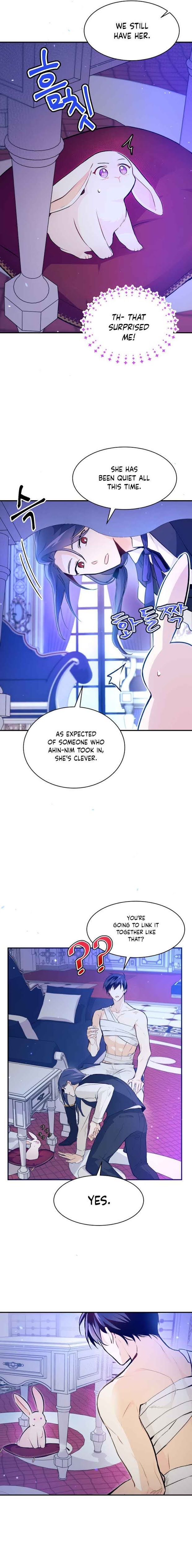 The Symbiotic Relationship Between the Rabbit and the Black Panther Chapter 4 - Page 8