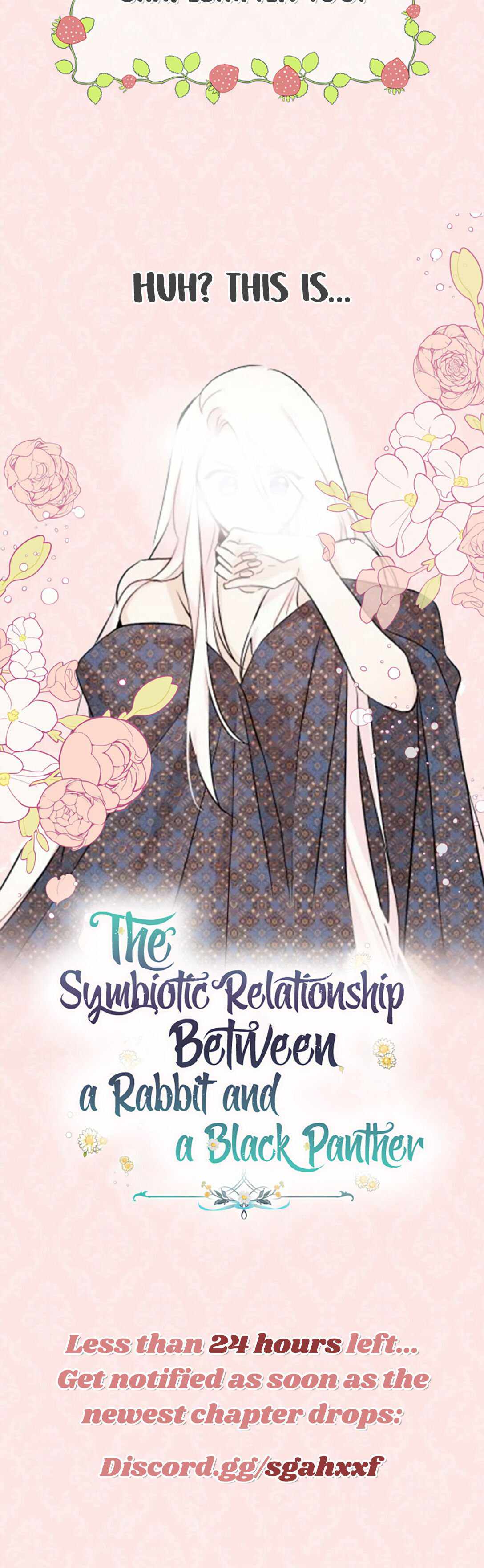The Symbiotic Relationship Between the Rabbit and the Black Panther Chapter 44.5 - Page 12