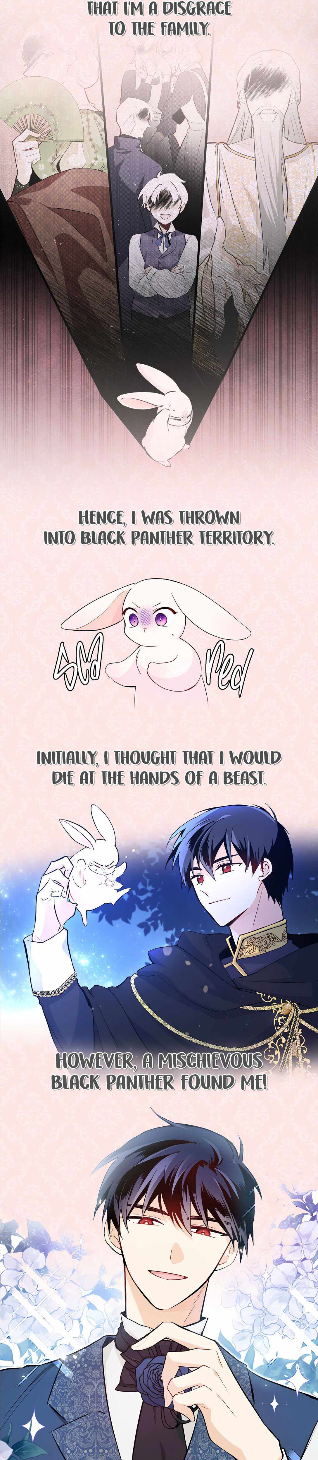 The Symbiotic Relationship Between the Rabbit and the Black Panther Chapter 44.5 - Page 3