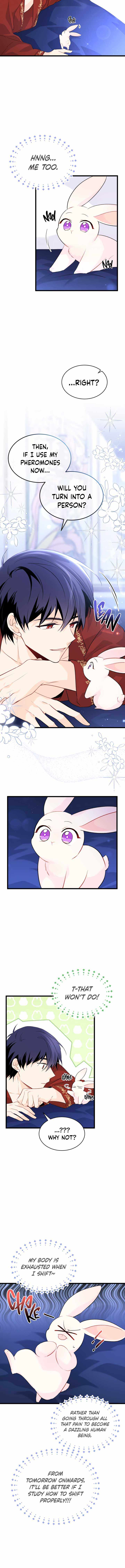 The Symbiotic Relationship Between the Rabbit and the Black Panther Chapter 46 - Page 12