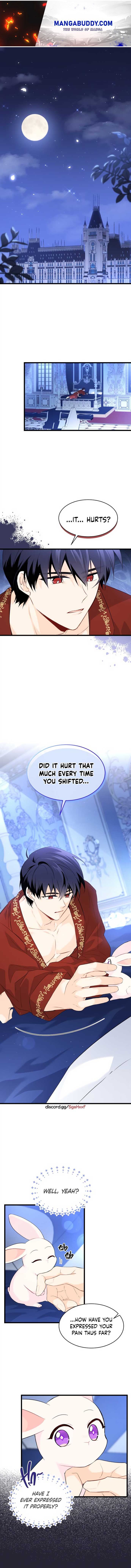 The Symbiotic Relationship Between the Rabbit and the Black Panther Chapter 47 - Page 1