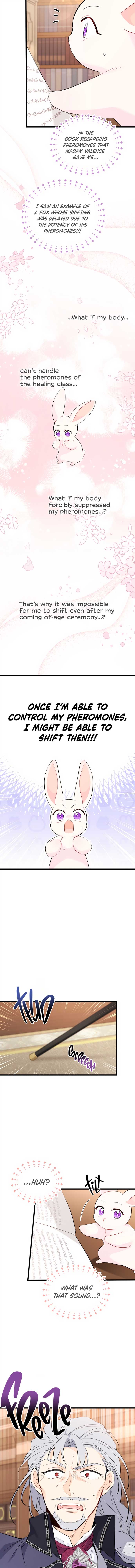 The Symbiotic Relationship Between the Rabbit and the Black Panther Chapter 47 - Page 12
