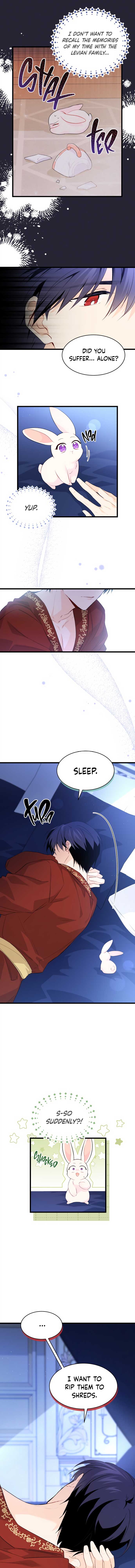 The Symbiotic Relationship Between the Rabbit and the Black Panther Chapter 47 - Page 2