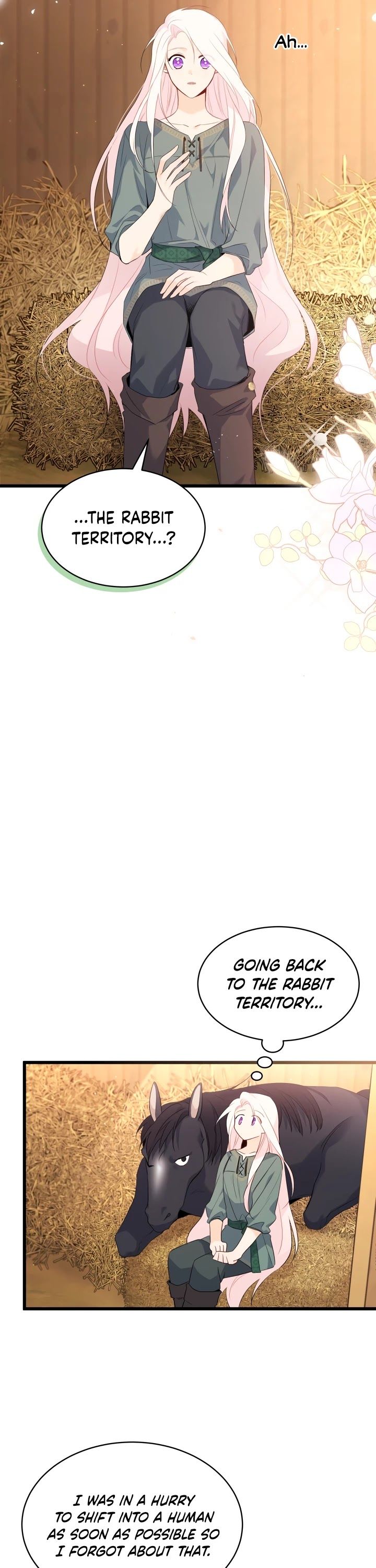 The Symbiotic Relationship Between the Rabbit and the Black Panther Chapter 49 - Page 21