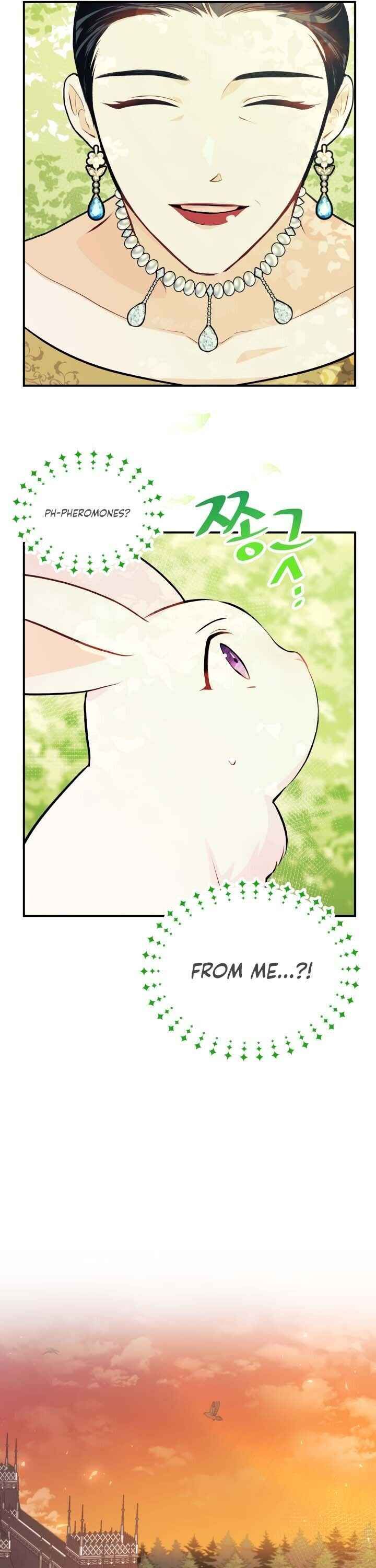 The Symbiotic Relationship Between the Rabbit and the Black Panther Chapter 5 - Page 12