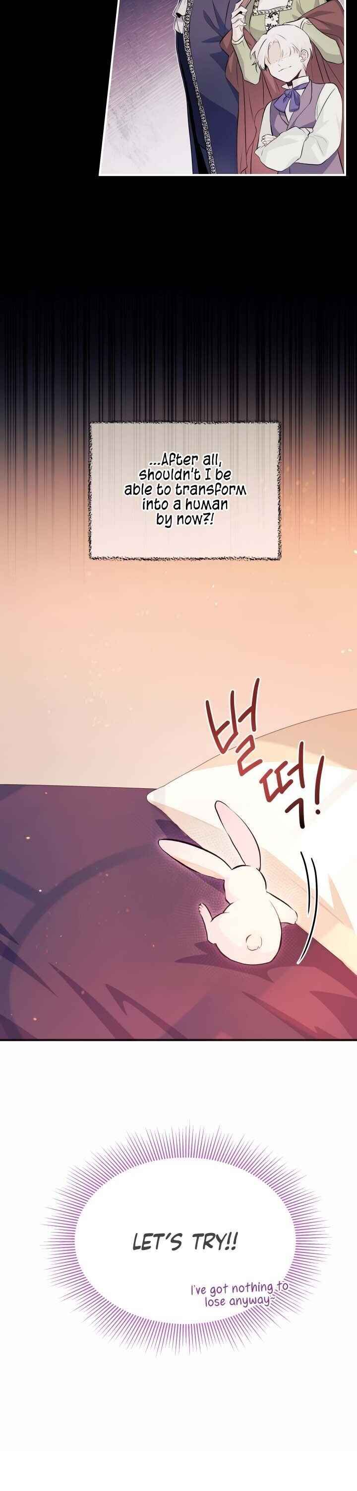 The Symbiotic Relationship Between the Rabbit and the Black Panther Chapter 5 - Page 17