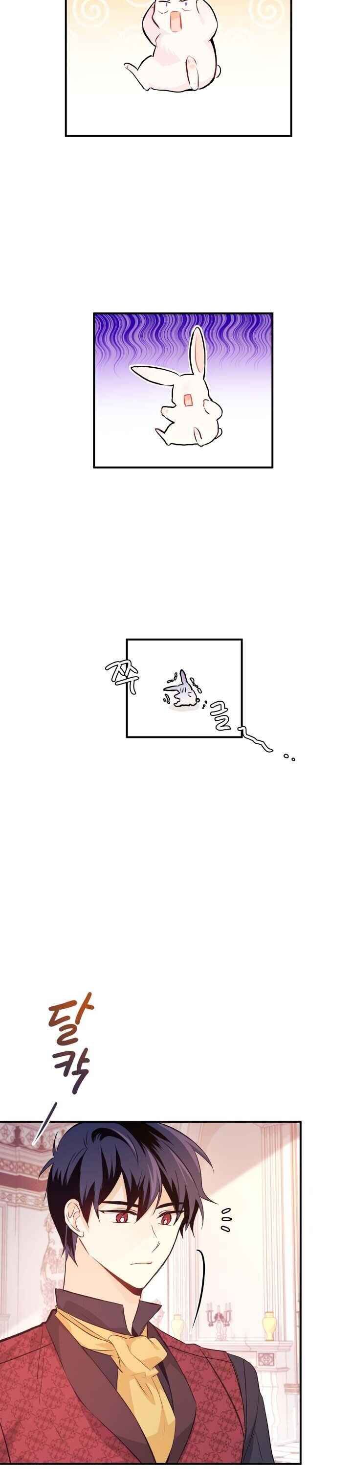 The Symbiotic Relationship Between the Rabbit and the Black Panther Chapter 5 - Page 19