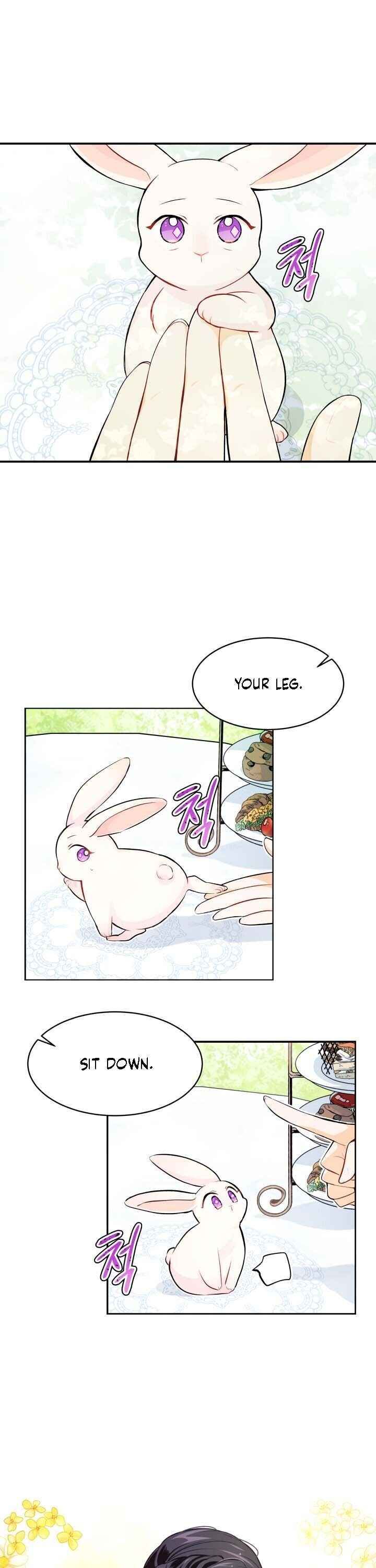 The Symbiotic Relationship Between the Rabbit and the Black Panther Chapter 5 - Page 6