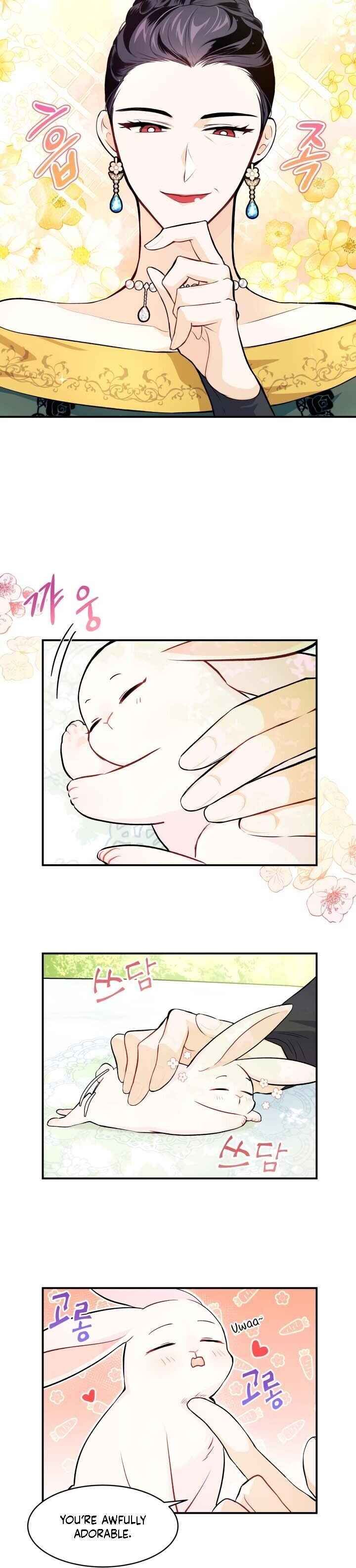 The Symbiotic Relationship Between the Rabbit and the Black Panther Chapter 5 - Page 7