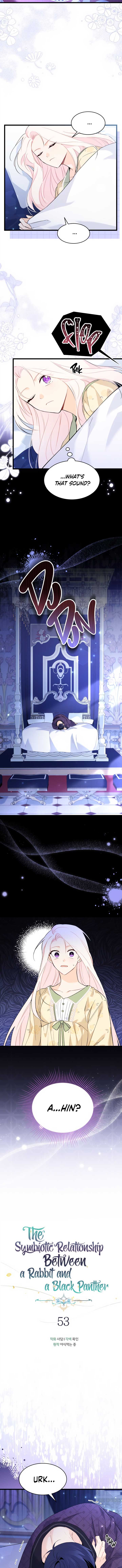The Symbiotic Relationship Between the Rabbit and the Black Panther Chapter 53 - Page 2