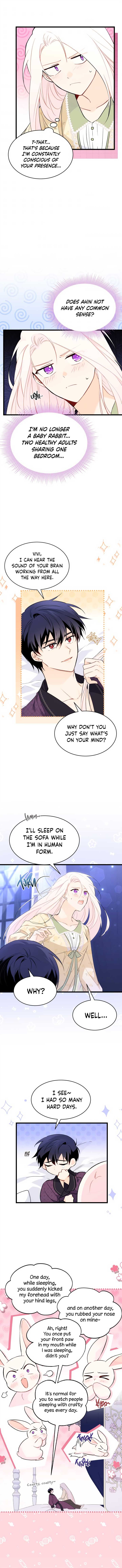 The Symbiotic Relationship Between the Rabbit and the Black Panther Chapter 53 - Page 5