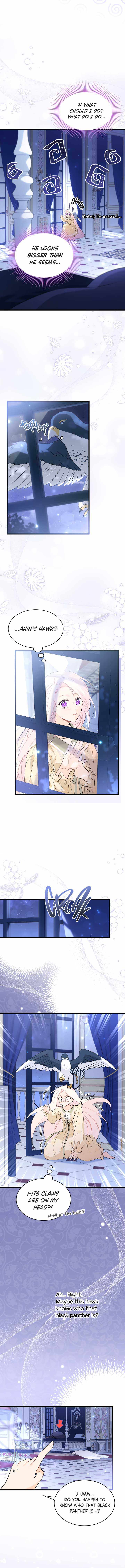The Symbiotic Relationship Between the Rabbit and the Black Panther Chapter 54 - Page 2