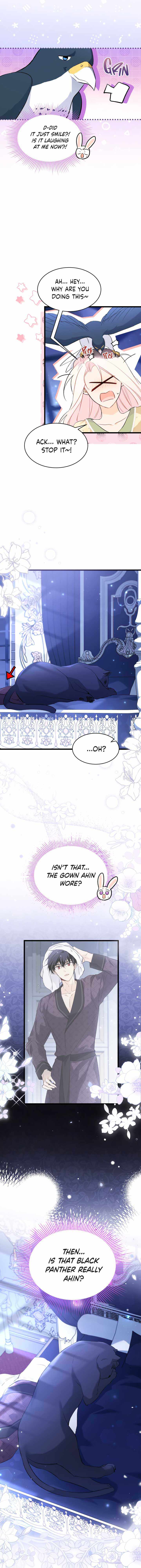 The Symbiotic Relationship Between the Rabbit and the Black Panther Chapter 54 - Page 3