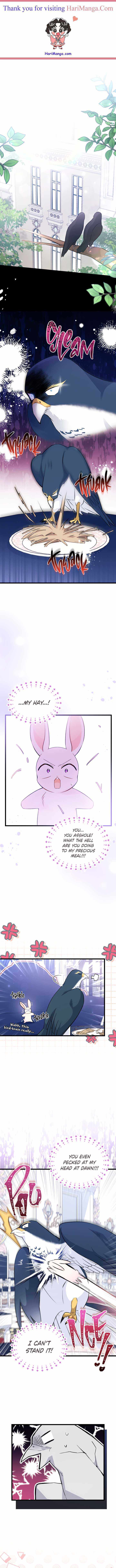 The Symbiotic Relationship Between the Rabbit and the Black Panther Chapter 55 - Page 1