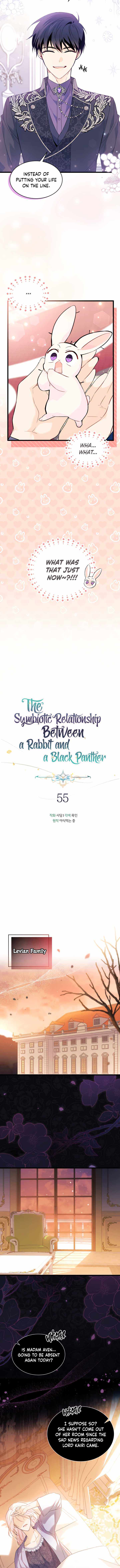 The Symbiotic Relationship Between the Rabbit and the Black Panther Chapter 55 - Page 5