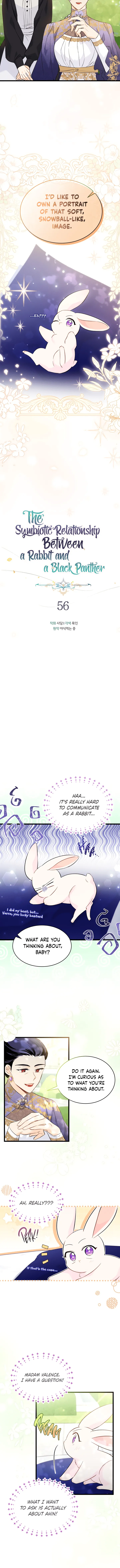 The Symbiotic Relationship Between the Rabbit and the Black Panther Chapter 56 - Page 3