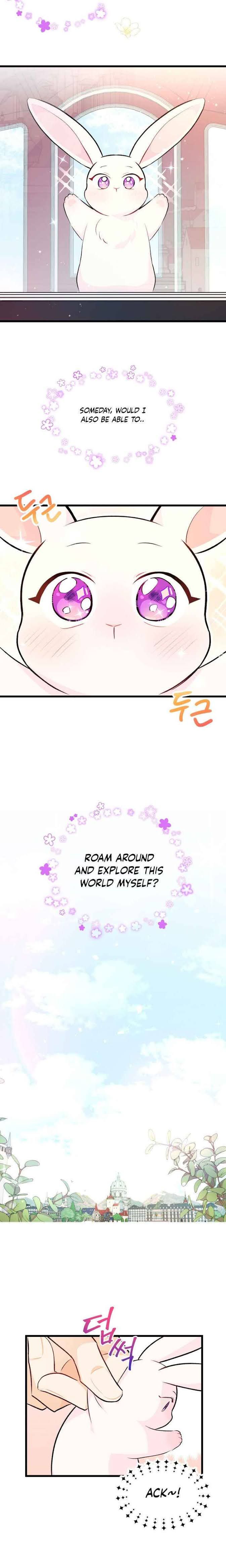 The Symbiotic Relationship Between the Rabbit and the Black Panther Chapter 6 - Page 16