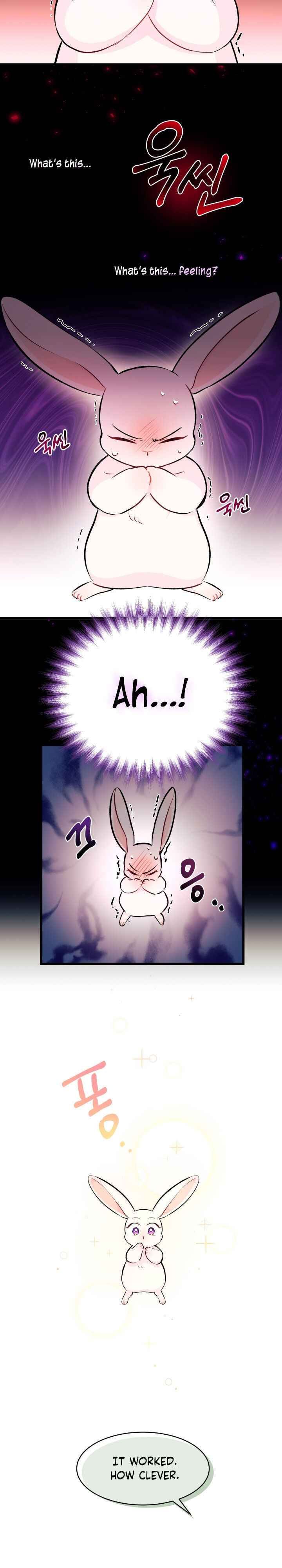 The Symbiotic Relationship Between the Rabbit and the Black Panther Chapter 6 - Page 6