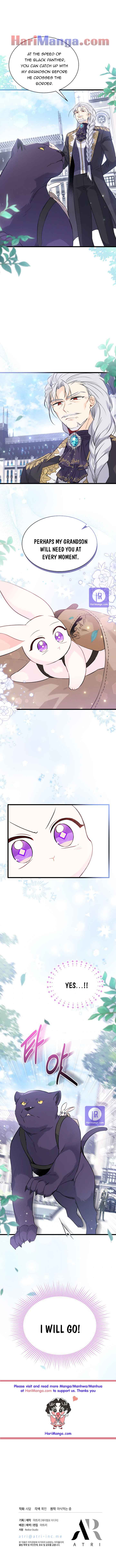 The Symbiotic Relationship Between the Rabbit and the Black Panther Chapter 60 - Page 7