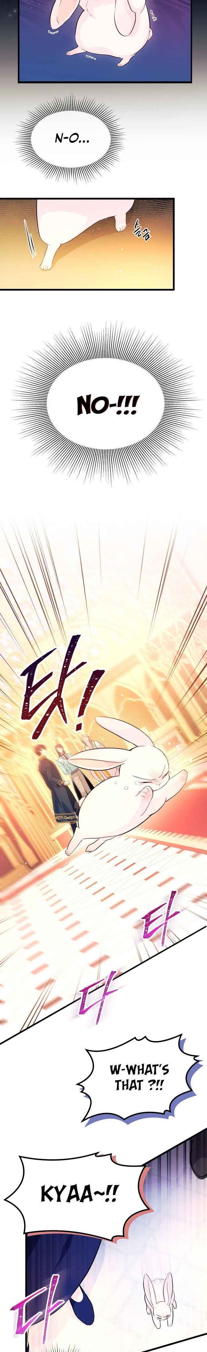 The Symbiotic Relationship Between the Rabbit and the Black Panther Chapter 7 - Page 12