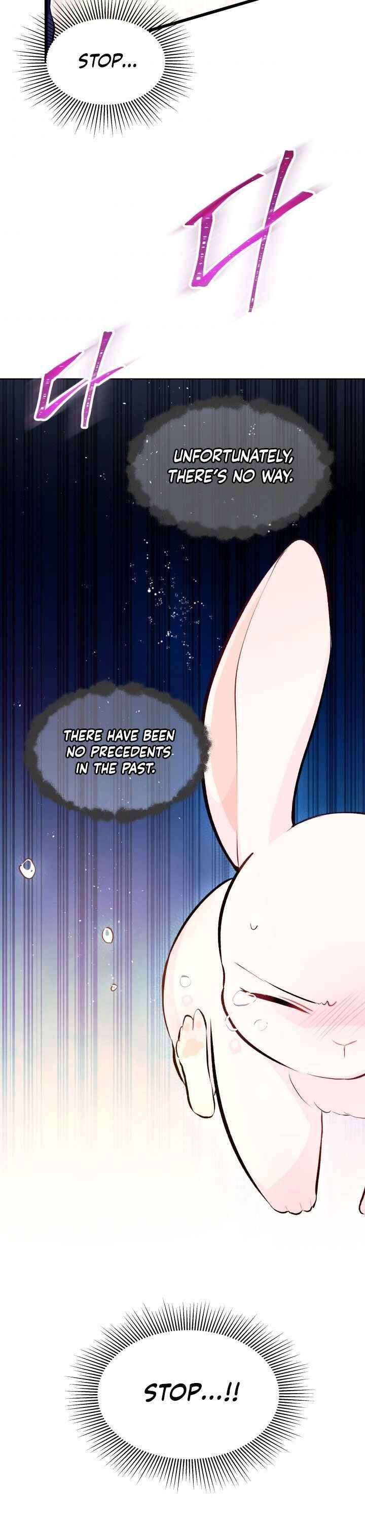 The Symbiotic Relationship Between the Rabbit and the Black Panther Chapter 7 - Page 13