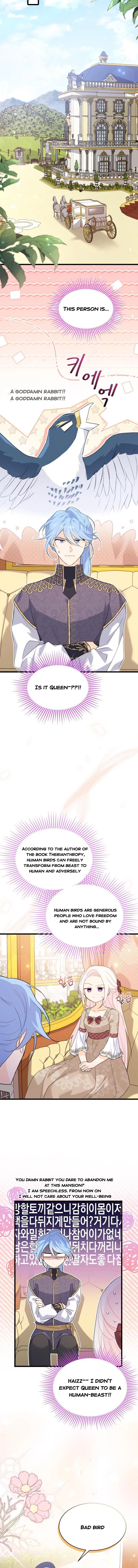 The Symbiotic Relationship Between the Rabbit and the Black Panther Chapter 78.5 - Page 5
