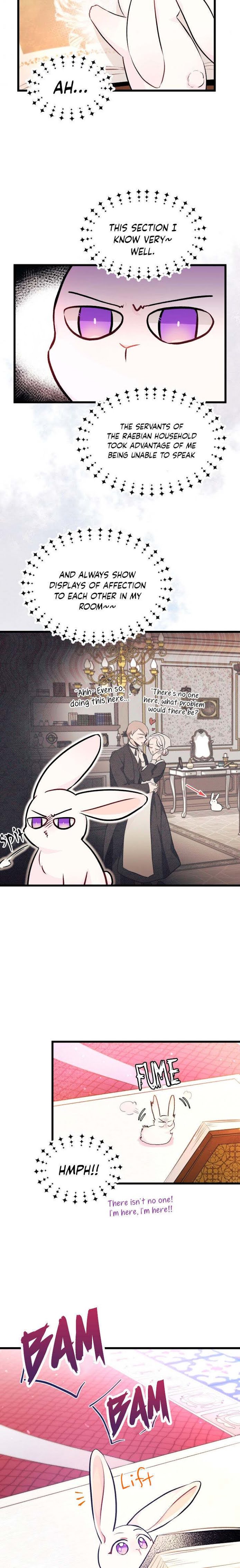 The Symbiotic Relationship Between the Rabbit and the Black Panther Chapter 8 - Page 11