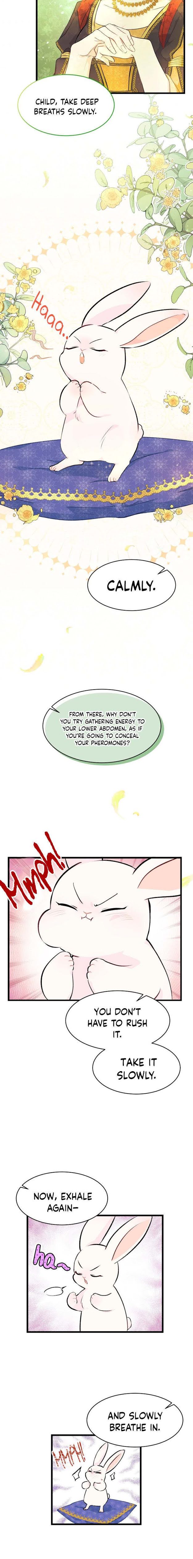 The Symbiotic Relationship Between the Rabbit and the Black Panther Chapter 8 - Page 3