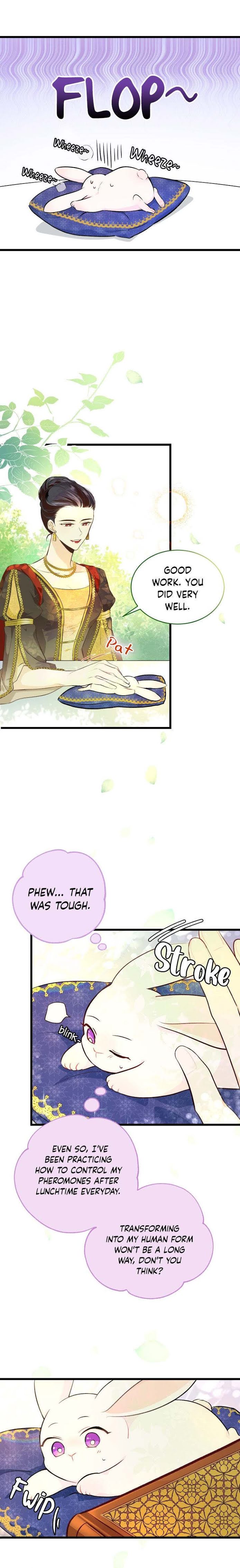 The Symbiotic Relationship Between the Rabbit and the Black Panther Chapter 8 - Page 5