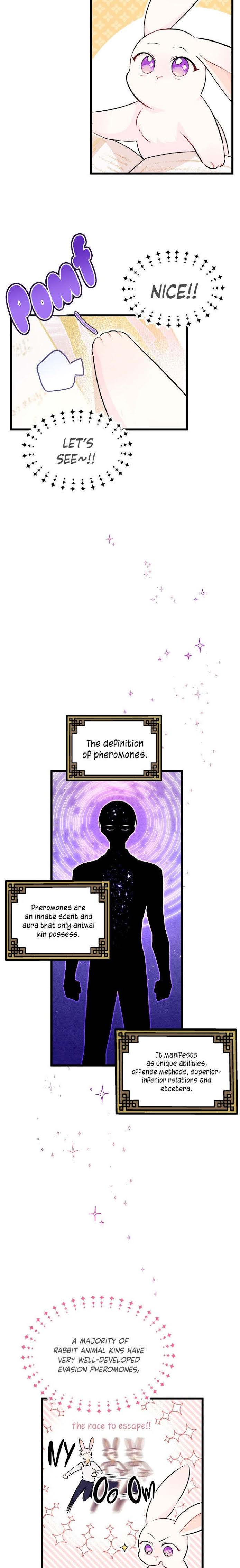 The Symbiotic Relationship Between the Rabbit and the Black Panther Chapter 8 - Page 9