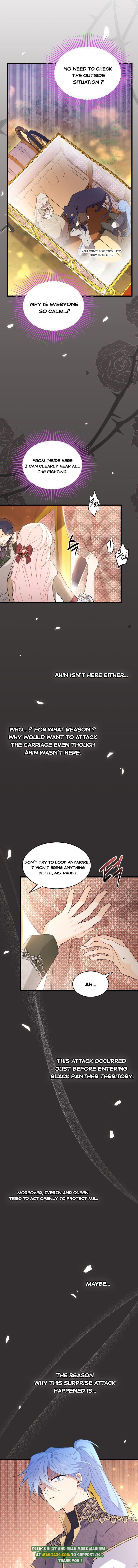 The Symbiotic Relationship Between the Rabbit and the Black Panther Chapter 80 - Page 3