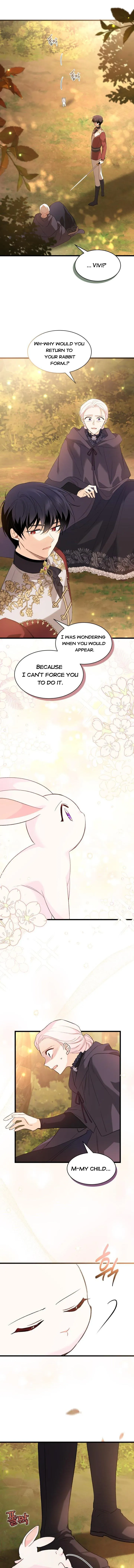 The Symbiotic Relationship Between the Rabbit and the Black Panther Chapter 81.5 - Page 6
