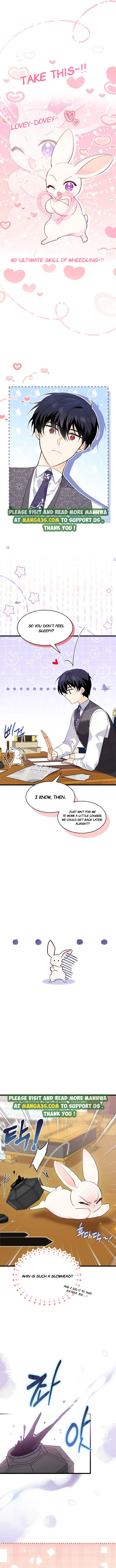 The Symbiotic Relationship Between the Rabbit and the Black Panther Chapter 83.5 - Page 2