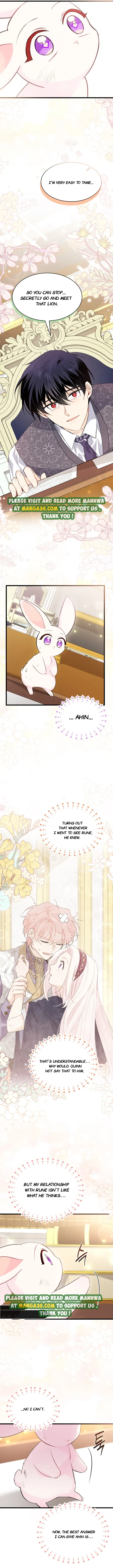 The Symbiotic Relationship Between the Rabbit and the Black Panther Chapter 83.5 - Page 5